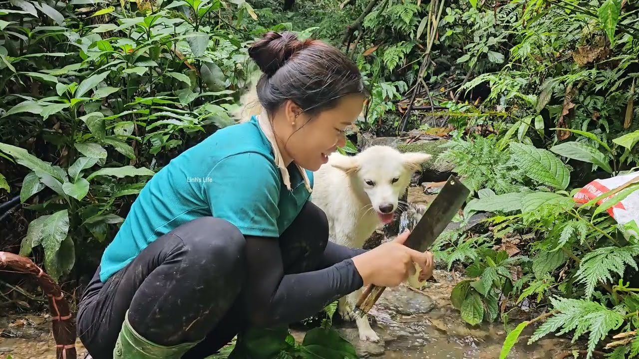 Harvesting bamboo shoots and boiling them to bring to market - Life of a couple | Linh's Life
