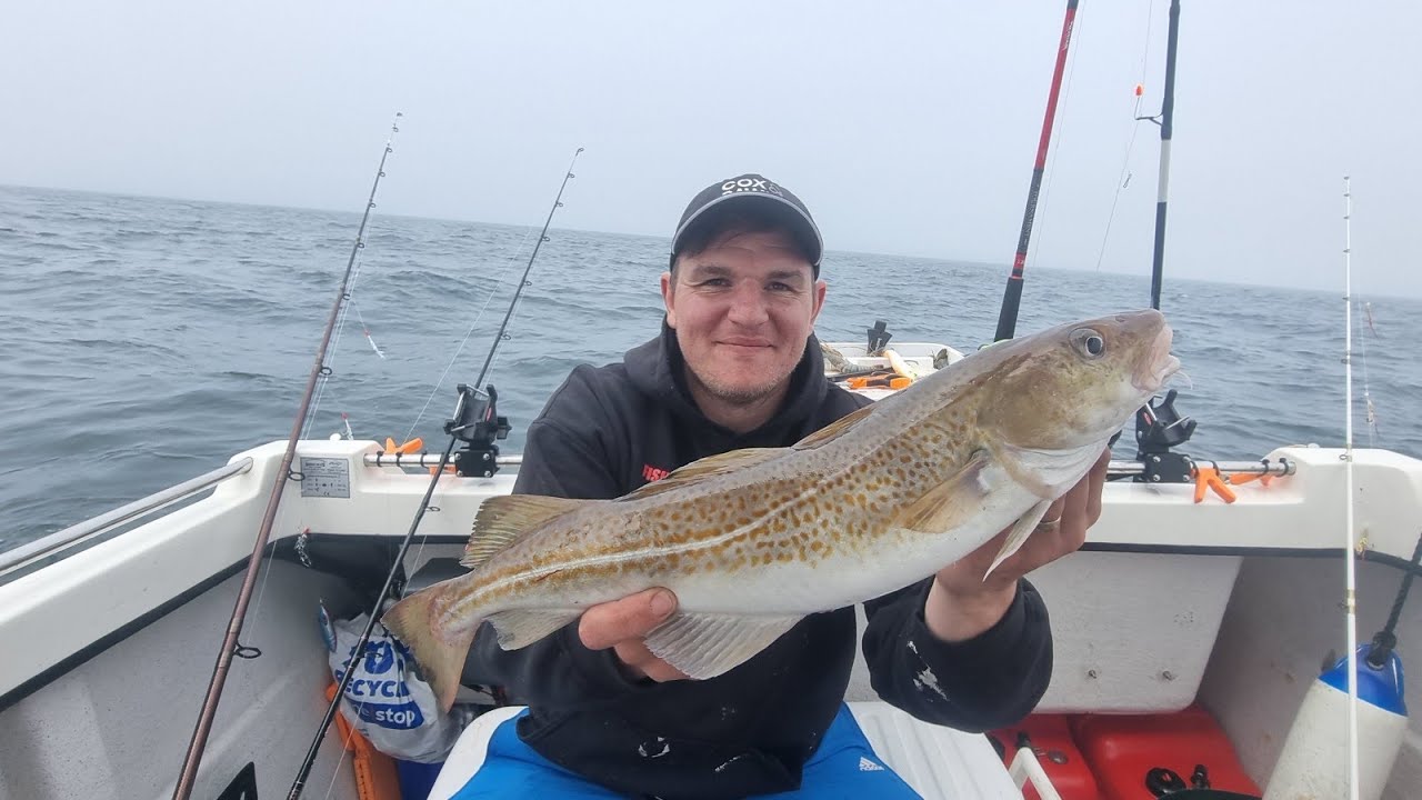 summer wreck fishing for cod and pollock so many fish /boat fishing in the UK