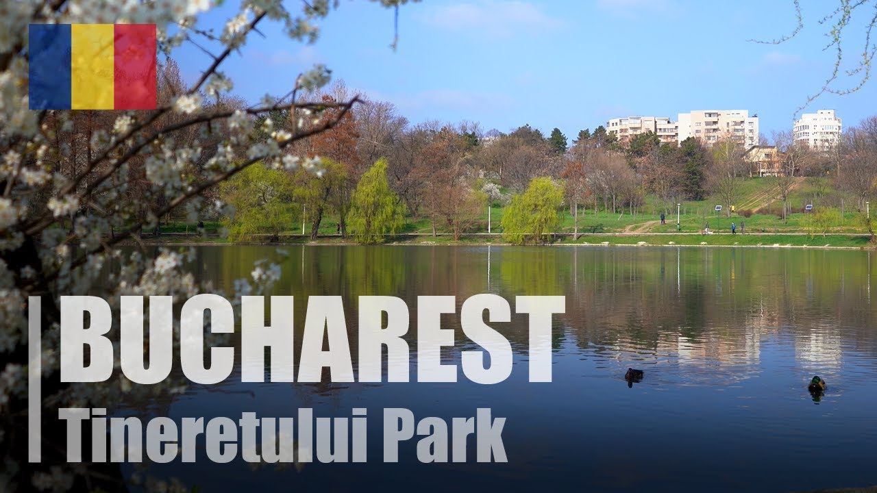 Ducks in the pond | Tineretului Park | Bucharest | Romania 🇷🇴