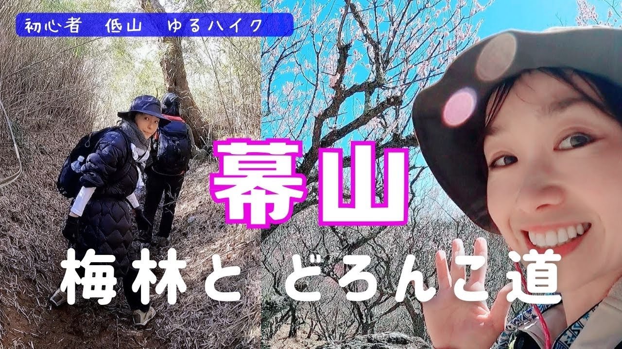 【神奈川】幕山　湯河原梅林とゆる山歩き　　#初心者　＃低山