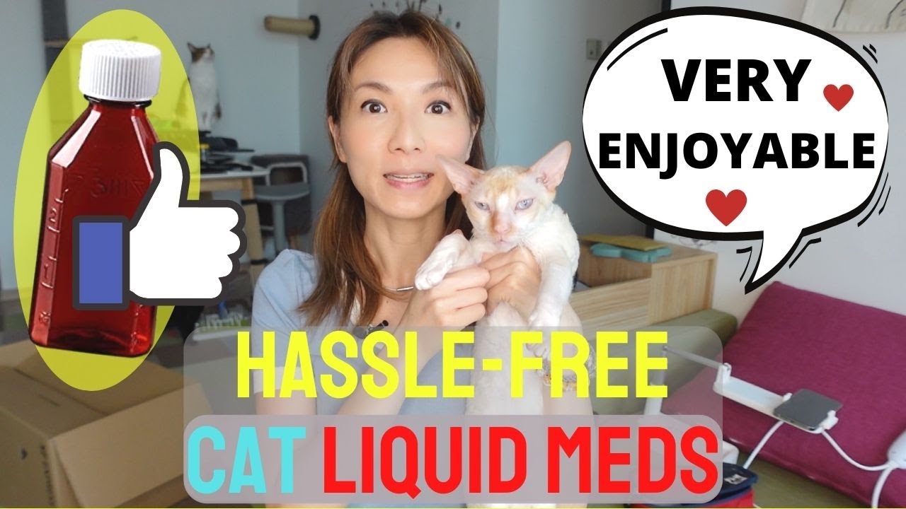How to Give a Cat Liquid Medicine WITHOUT a Syringe... Or Getting Scratched