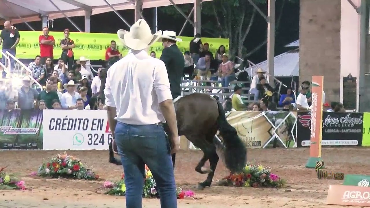 TASCONAZO DE SANTA CRUZ DE LOS LAGOS, GRAN CAMPEON TROCHA COLOMBIANA BUCARAMANGA GRADO B 2023