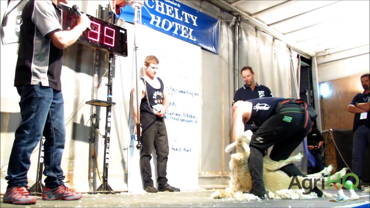 World Shearing Record - David Fagan