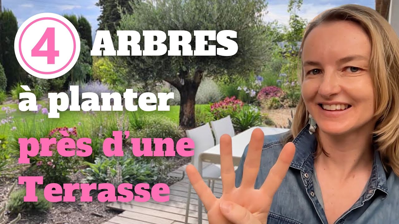 4 arbres à planter près d’une terrasse sans risques avec les racines