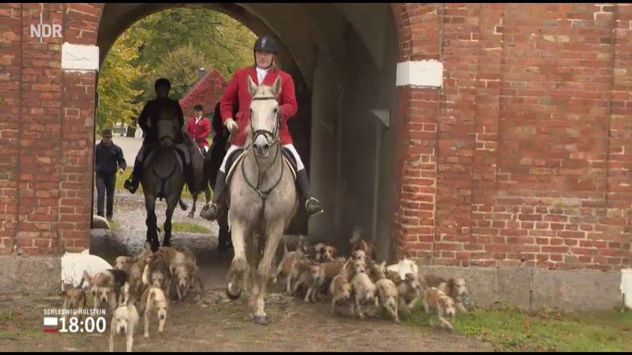 2016 Beaglemeute Gut Klettkamp N3 Schleswig-Holstein-Magazin