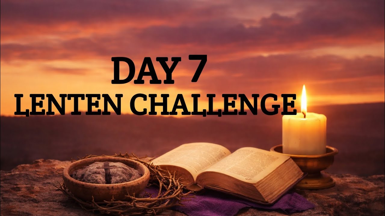 DAY 7 - GRATITUDE FOR CONSISTENCY