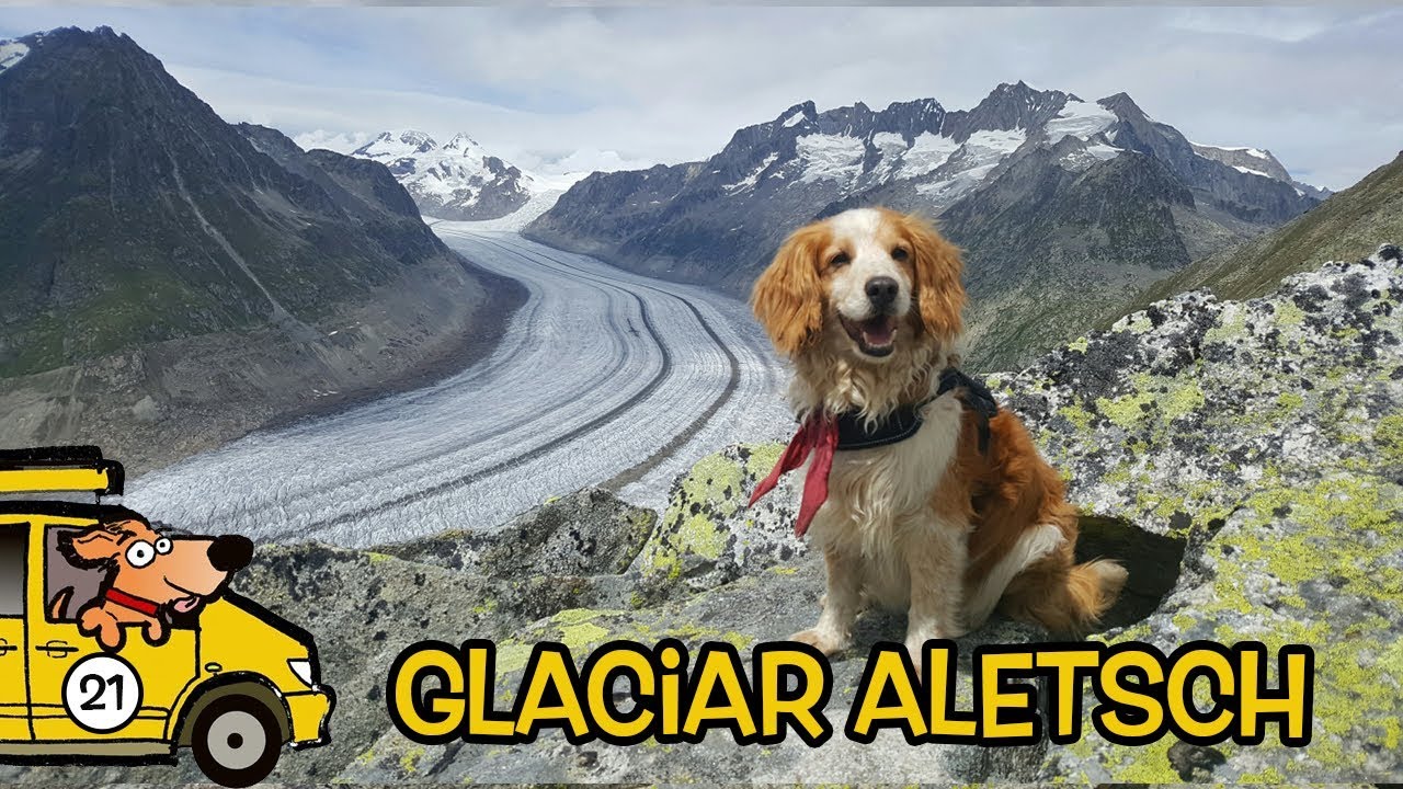 ALPES Suiza | Vantrip #21 | Glaciar Aletsch
