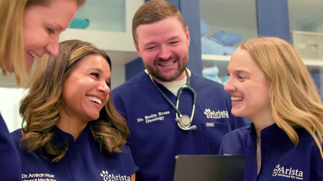 Why Consider Joining Arista