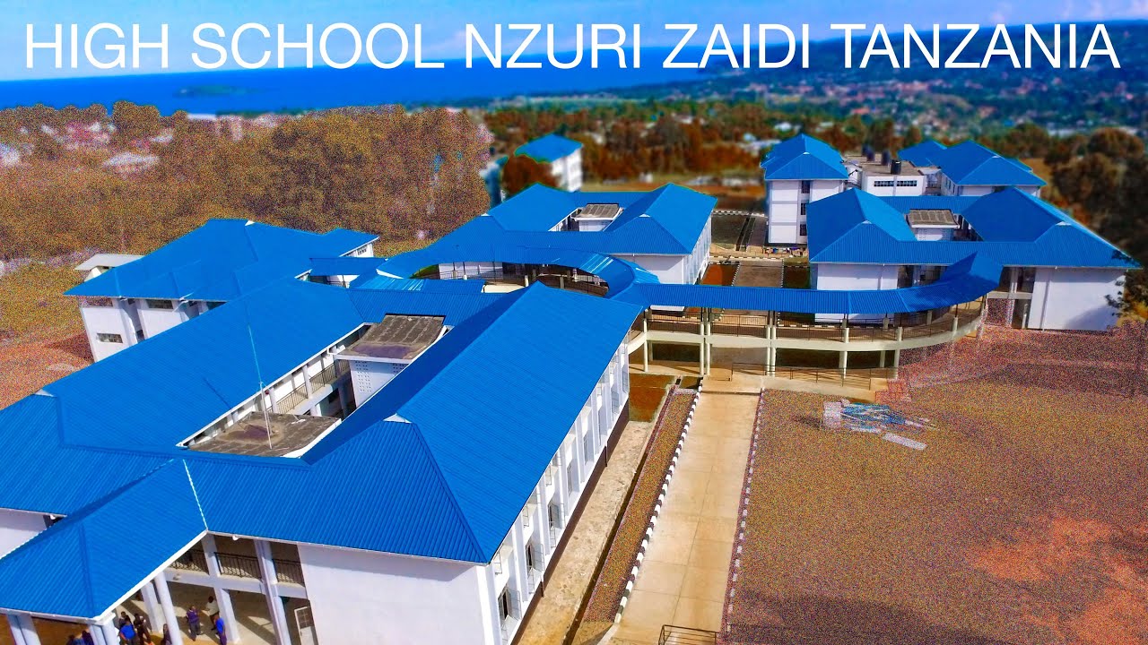 HII NI HIGH SCHOOL, NZURI TANZANIA, SIO CHUO KIKUU