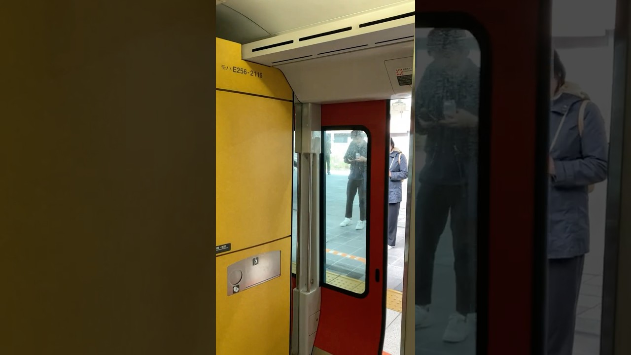 JR East E257-2000 Series - Doors are Closing! (Odoriko Ltd Express) 