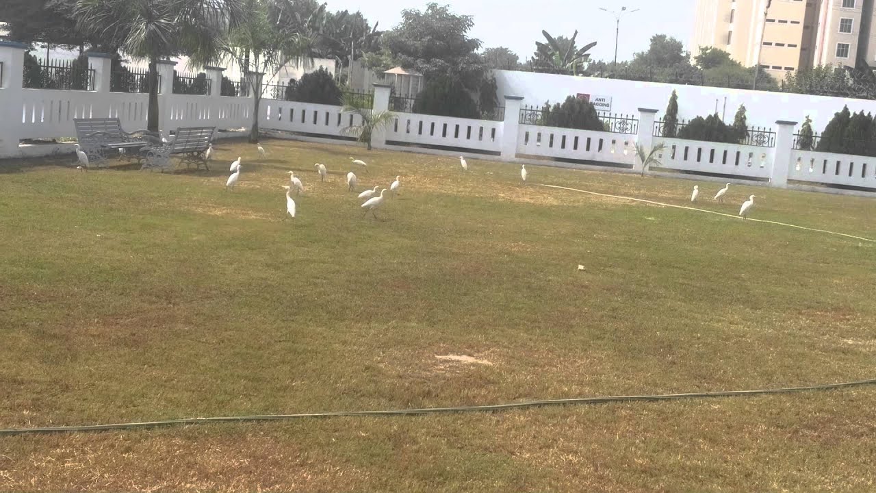 Integral main hostel