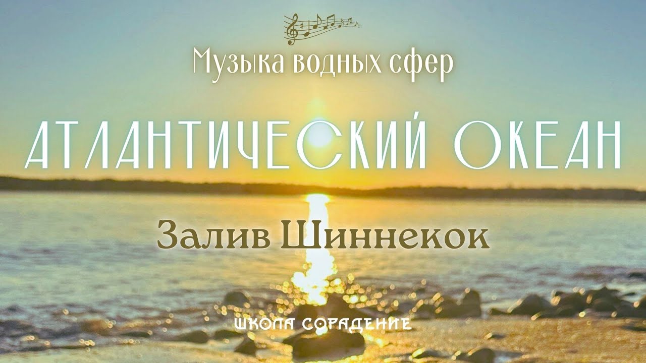 Залив Шиннекок. Атлантический океан  #музыкаводныхсфер #весталия #школаcорадение