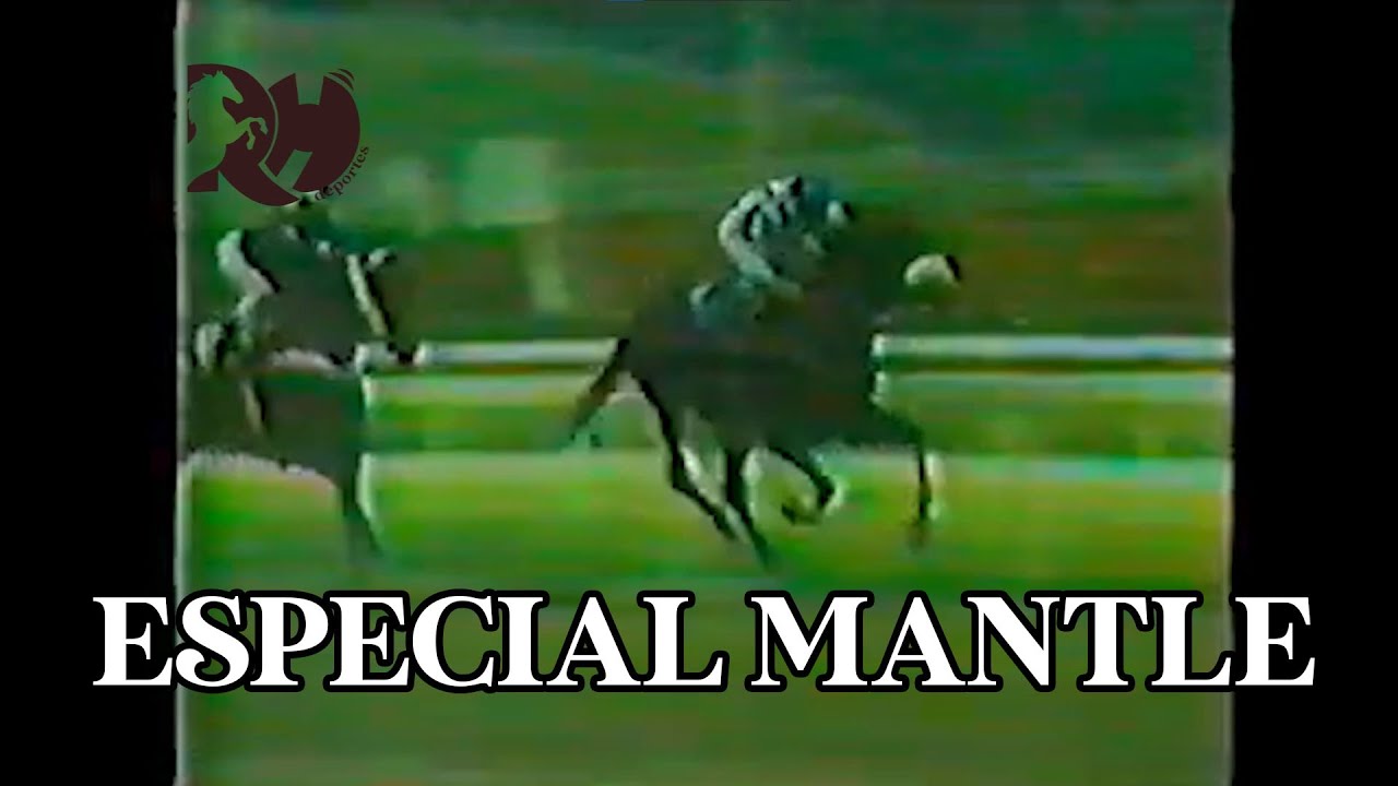 MANTLE ¡Homenaje a grandes Campeones y Campeonas!  (Parte Nro 1)