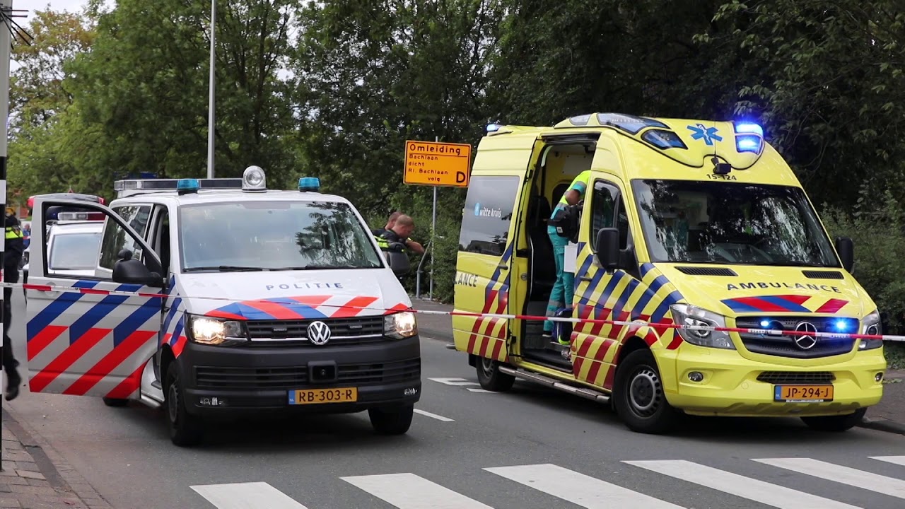 Meszwaaier aangehouden in Naaldwijk