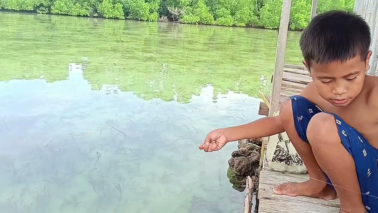 Ikan Banyak Di Samping Rumah Tinggal Mancing