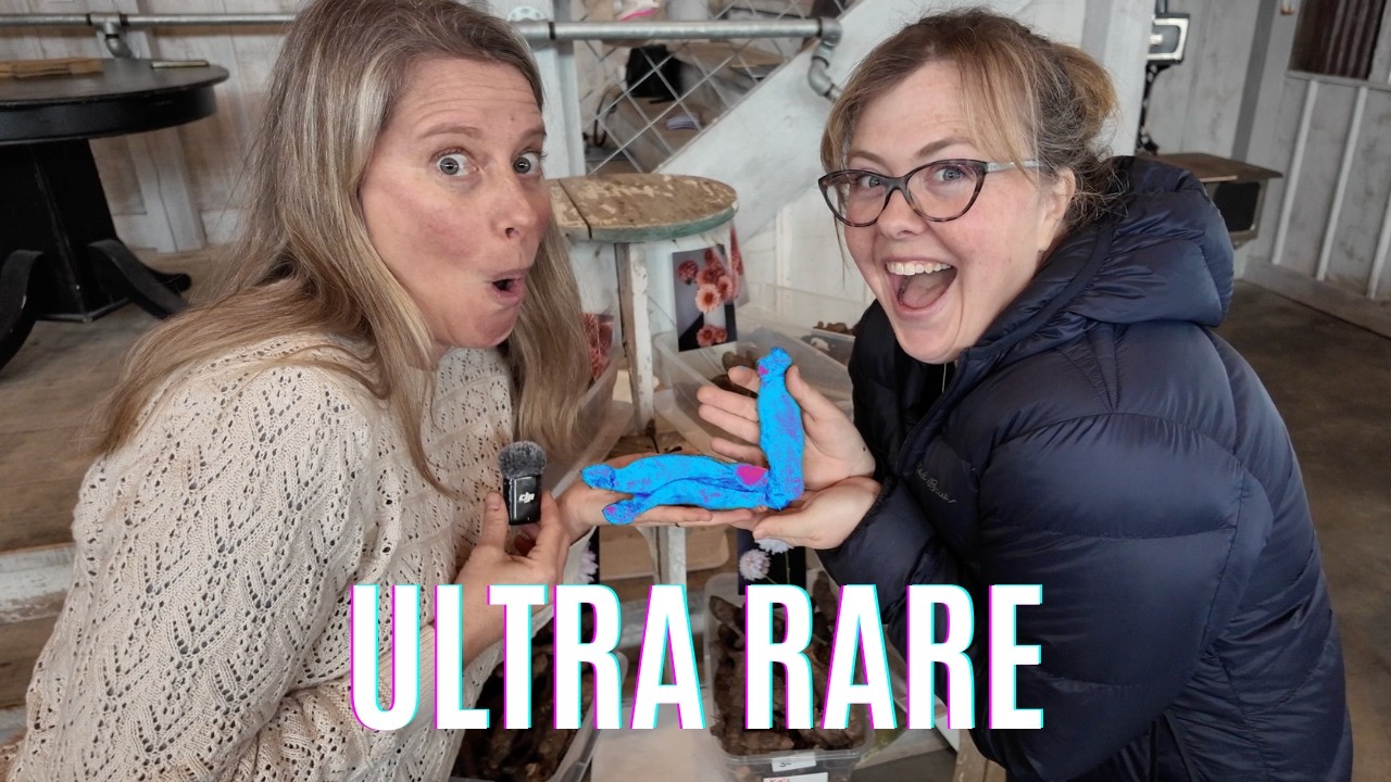Rare Finds at The Dahlia House Sale – Plus Behind-the-Scenes Fun!