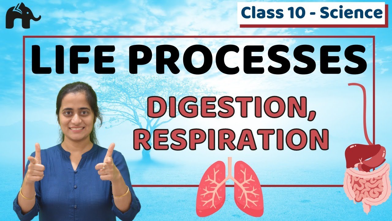 Life Processes One Shot Class 10 Science Chapter 6 Biology | CBSE NCERT  #1