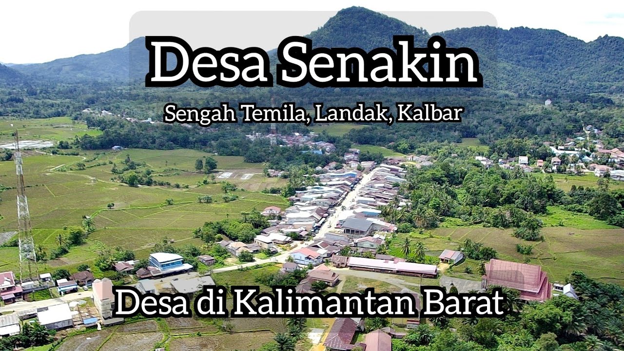 Desa Senakin dari Udara Terbaru | Desa Senakin Sengah Temila Drone Video