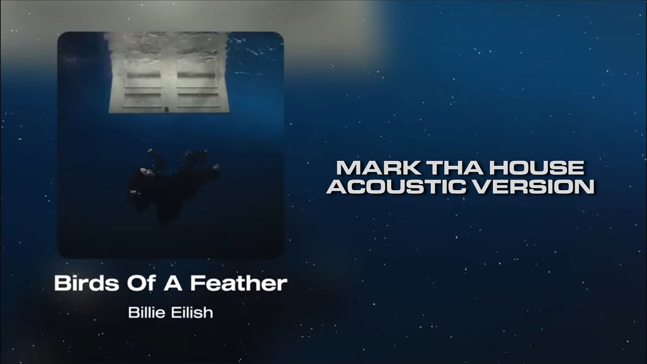 Billie Eilish - BIRDS OF A FEATHER (MARK THA HOUSE ACOUSTIC VERSION)