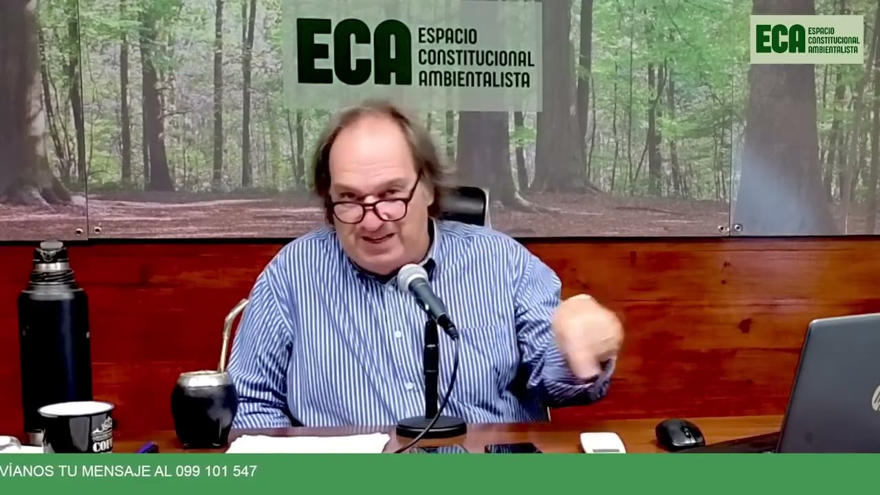PROGRAMA 15   06 02 2026