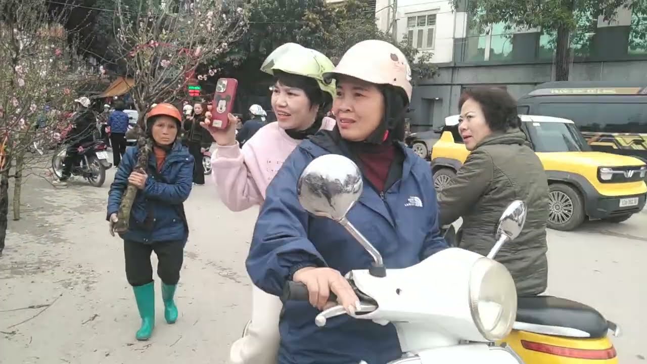 Sắm cành đào chơi Tết, có bán tại công viên thiếu nhi lạng sơn, YouTube to ken.