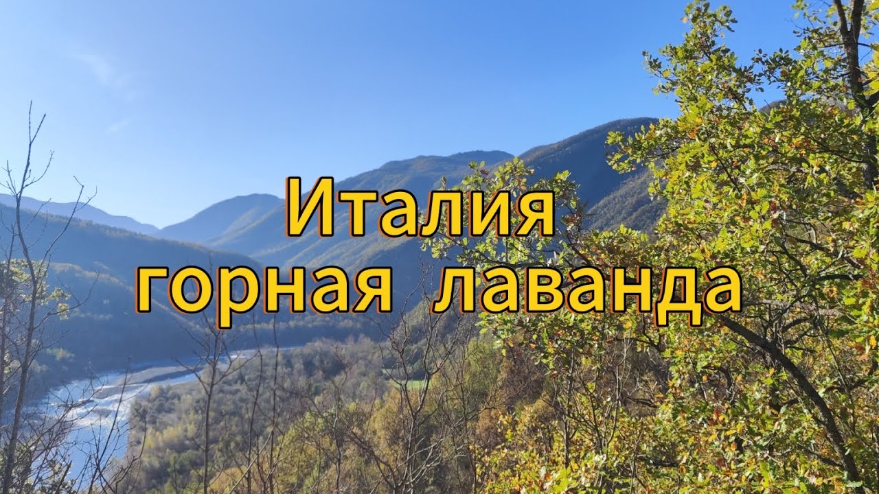 🔴Красоты Италии🔴26 тысяч кустов лаванды  не получается посадить🔴