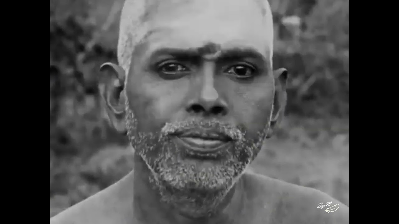 Sri Ramana Maharshi és alaptanítása