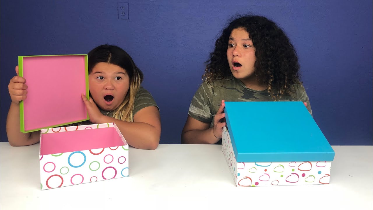 MYSTERY BOX SLIME SWITCH-UP CHALLENGE!!!