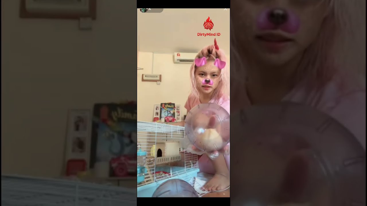 LIVE NO ARMOR BLUNDER BERSIHKAN KANDANG HAMSTER 