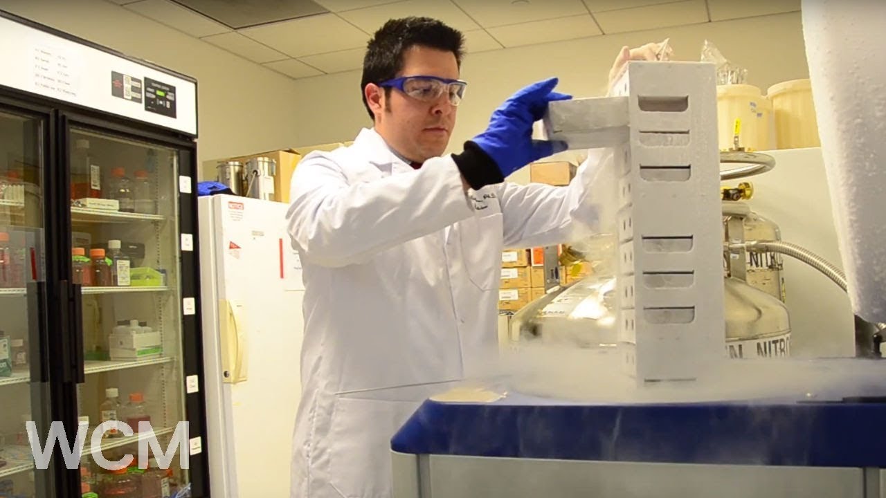 Postdoctoral Fellows | Journey of Discovery | Weill Cornell Medicine