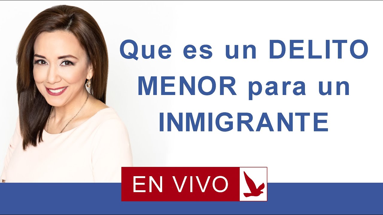 QUE ES UN DELITO MENOR PARA UN INMIGRANTE?