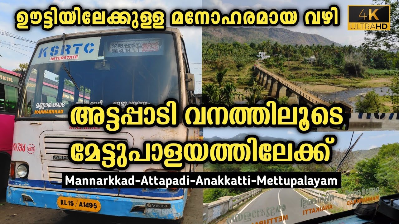 Ksrtc Mettupalayam Trip | Mannarkkad To Mettupalayam | Via Attappadi Forest #Attappadi #Anaikkatti