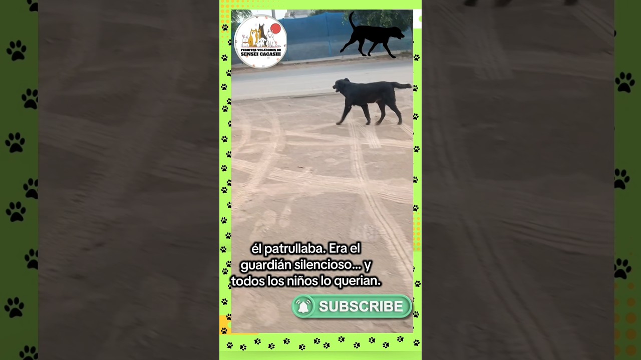 #perro