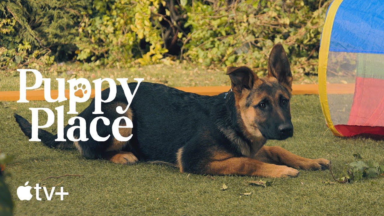 Puppy Place — Scout the German Shepherd | Apple TV