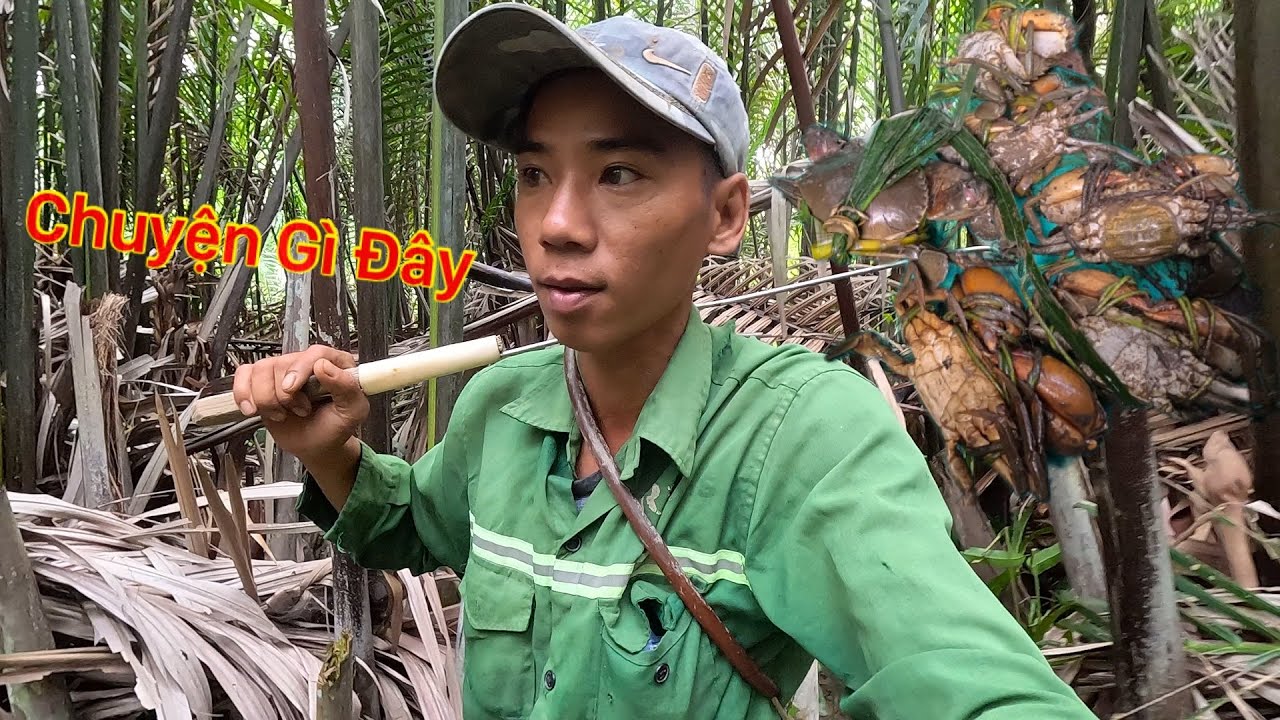 Nghe Tiếng Kêu Lạ Đi Đến Rùng Mình Gặp Nhiều Con Ẩn Mình Thì Hốt Hoảng