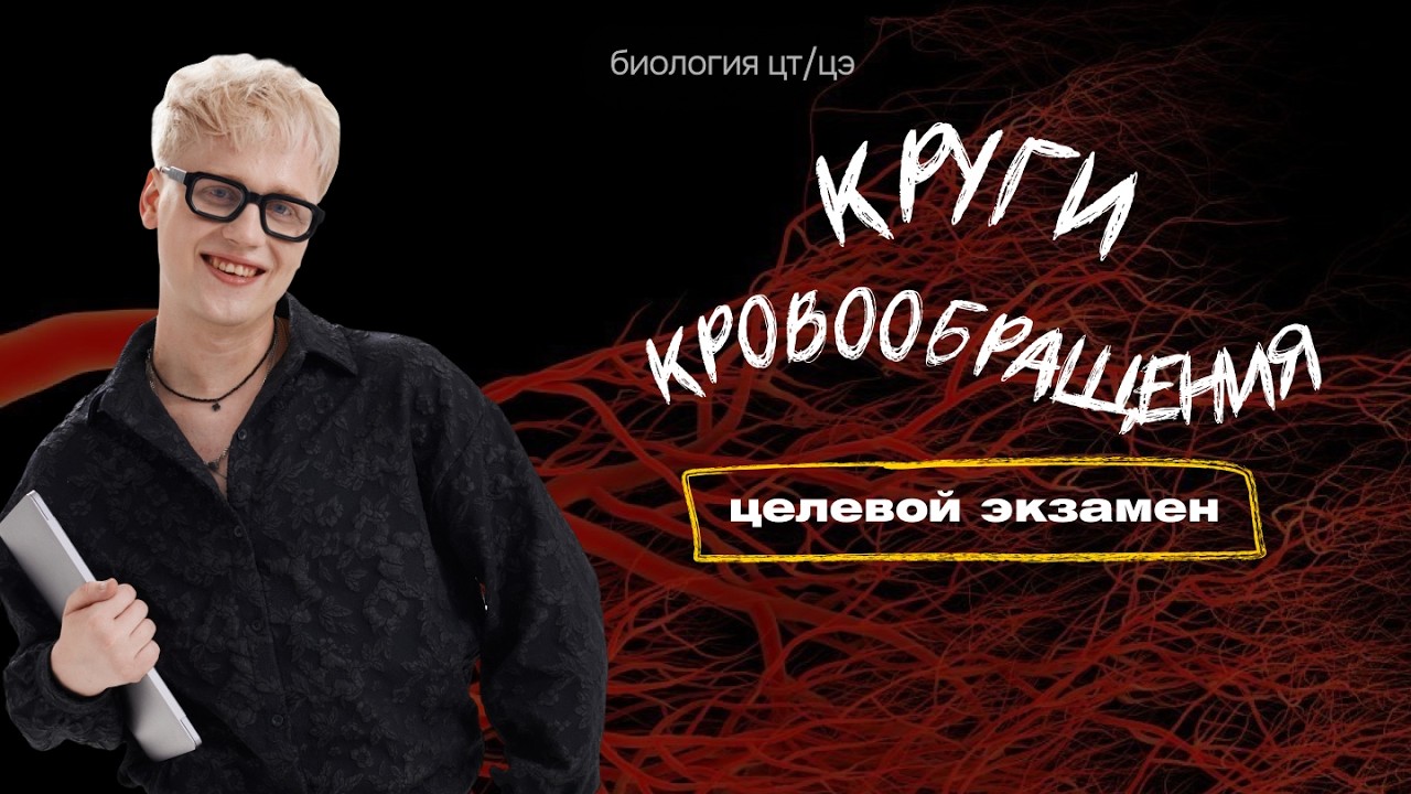 КРУГИ КРОВООБРАЩЕНИЯ. АРТЕРИАЛЬНОЕ ДАВЛЕНИЕ. ПУЛЬС | Целевой экзамен