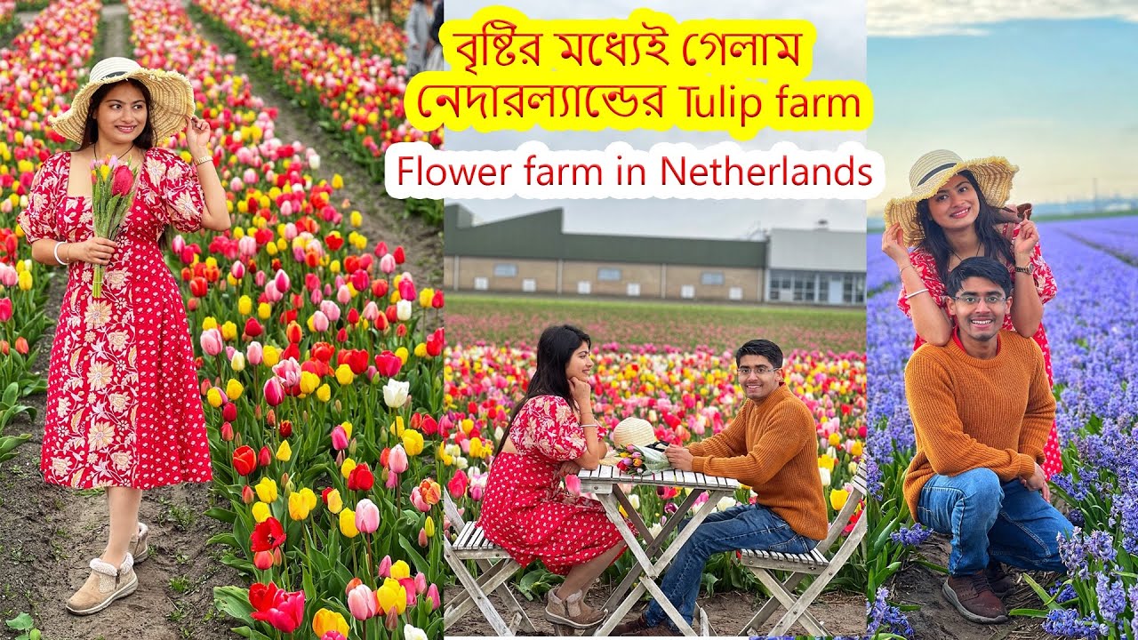 এই দুটো মাস Netherlandsকে স্বর্গ থেকে কিছু কম মনে হয় না।বৃষ্টির মধ্যে কত রকমের ফুলের দর্শনTulip Farm