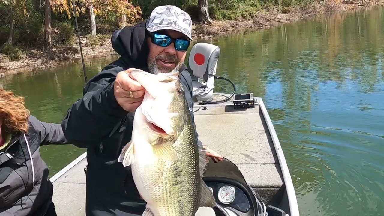 BLACK BASS 3330 GARCÍA DE SOLA 2025