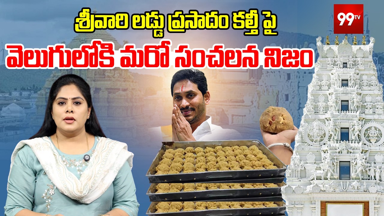 Tirumala Laddu Adulteration Row :శ్రీవారి లడ్డు ప్రసాదం కల్తీ పై వెలుగులోకి మరో సంచలన నిజం  | 99TV
