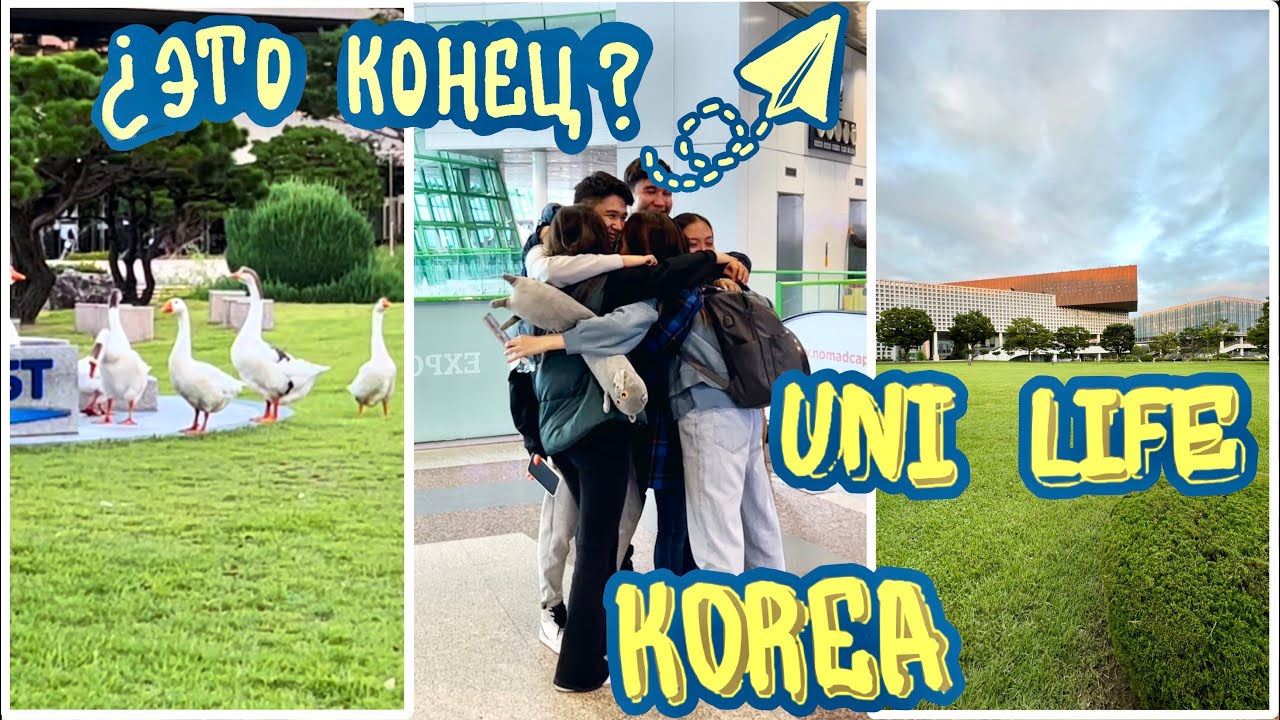 Дневник студентки: переехала в Корею одна. Первая неделя в университете KAIST