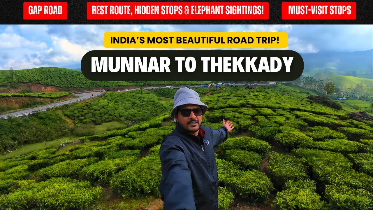 India&rsquo;s MOST Beautiful Road Trip - Munnar to Thekkady | Best Routes & Guide - Kerala Series