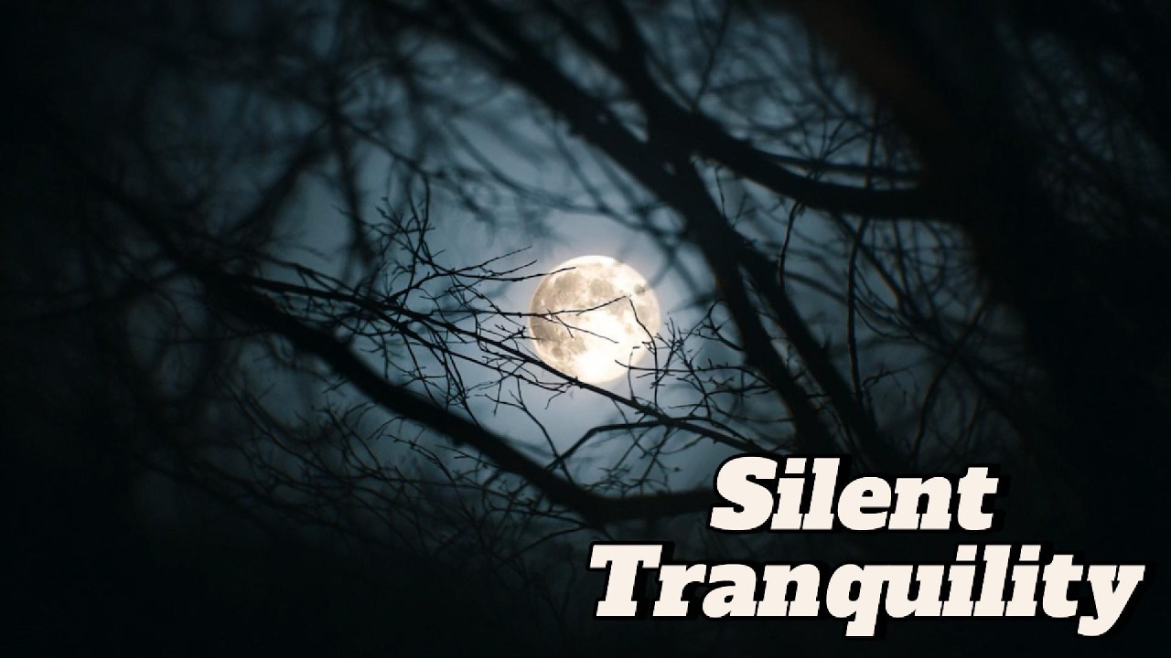 Silent Tranquility