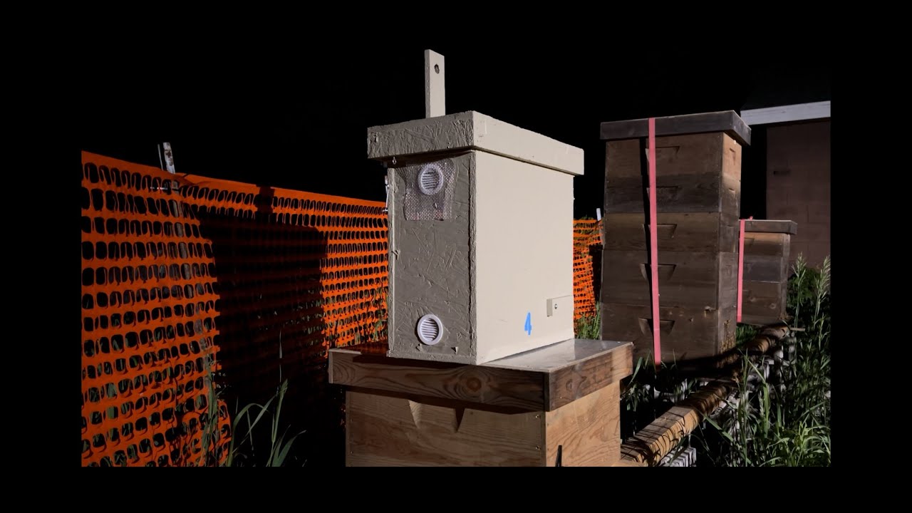 Caught a swarm? Now what?