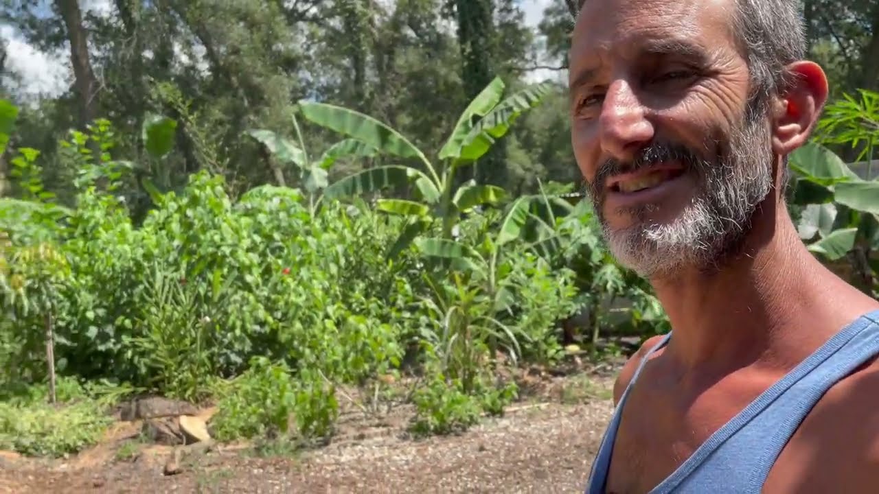 The Ultimate Florida Food Forest Tour and Eat, Spending an Incredible Day at the Reid Farm