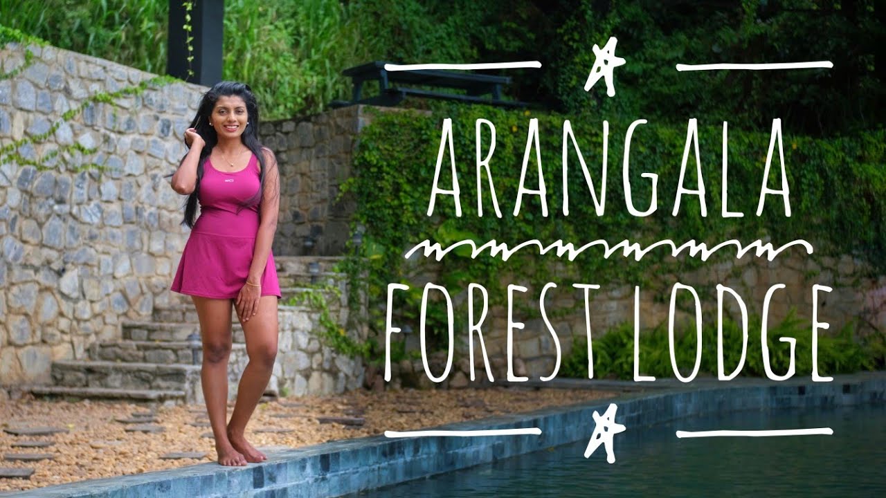 Secret Heaven Near Arangala Mountain : Arangala Forest Lodge