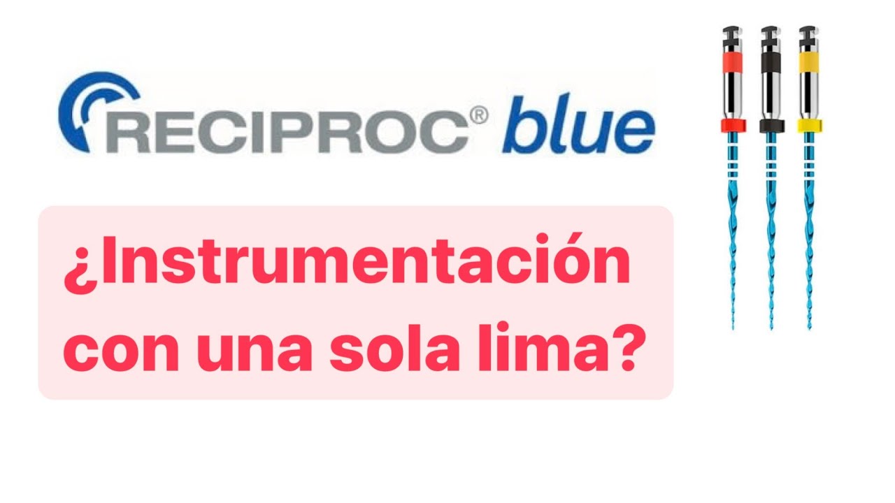 ReciprocBlue ¿cómo utilizarlo?