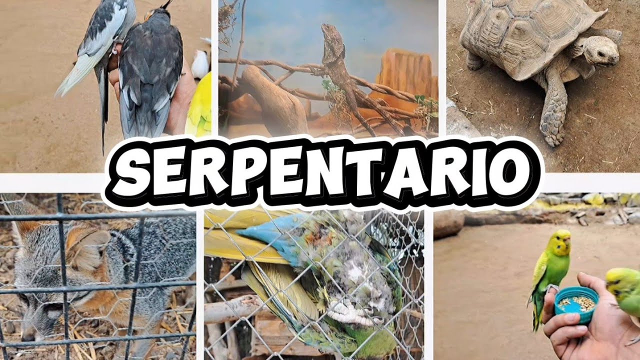 Visitamos el Serpentario La Paz