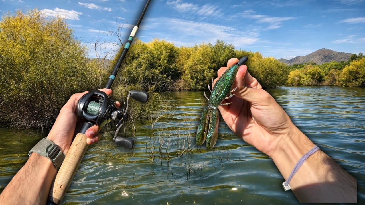 Explorando NUEVO lago INFESTADO de pescado!