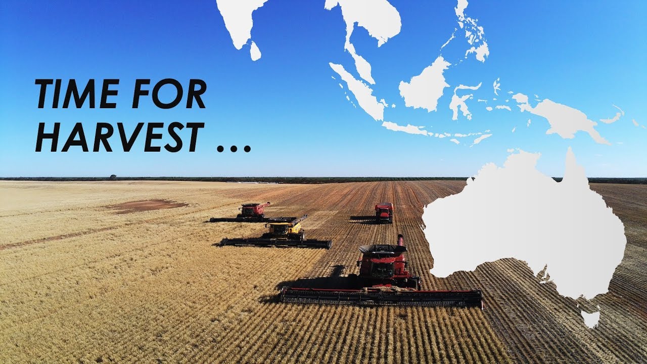 Time for Harvest /2018/ Gleeson Farm, Australia