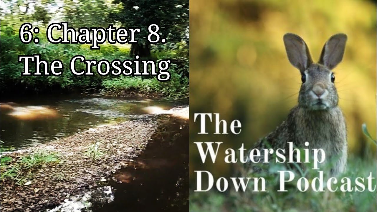 6: Chapter 8. The Crossing